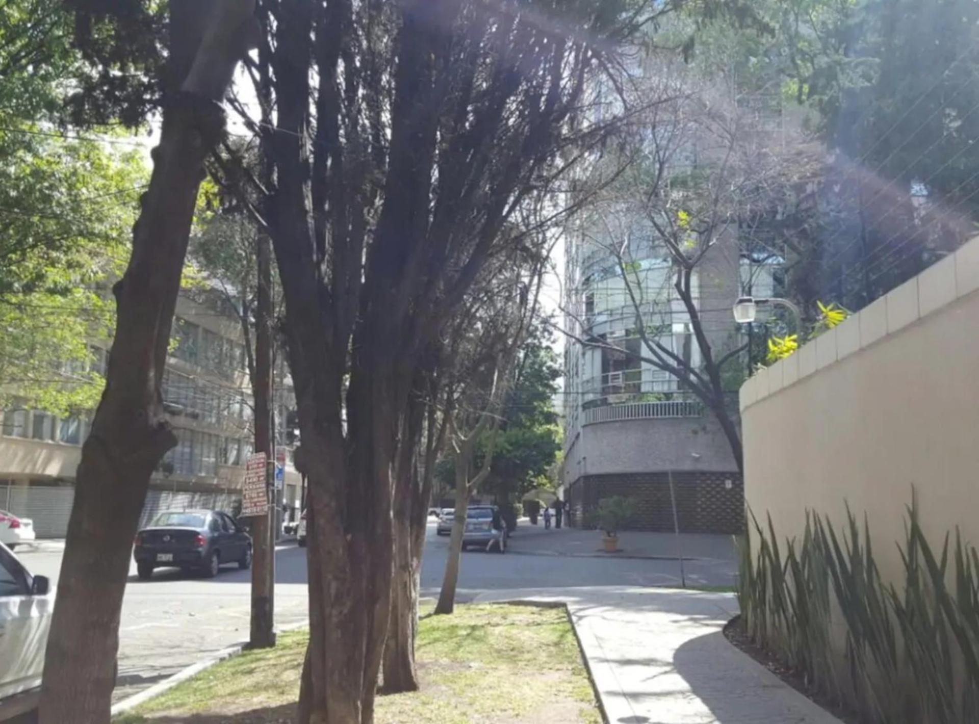 דירות מקסיקו סיטי Mi Casa #1 At Polanco'S Most Exclusive Area מראה חיצוני תמונה